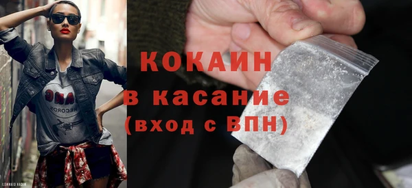 индика Алзамай
