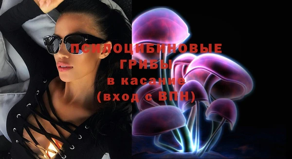 тгк Алексин