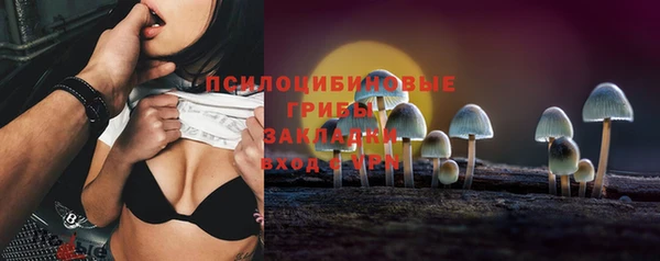 apvp Пересвет