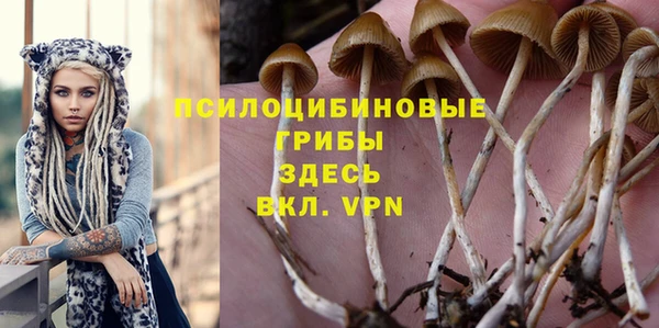 бошки Пестово