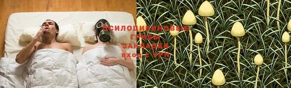 тгк Алексин