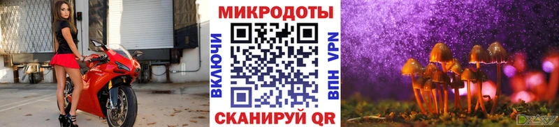 МЕГА как зайти  Алапаевск  Галлюциногенные грибы MAGIC MUSHROOMS  купить наркотики цена 