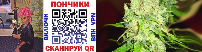 наркота  Алапаевск  Каннабис VHQ 